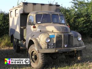 ysk337,austin,k9
