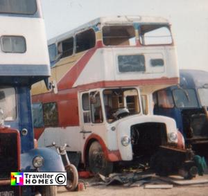 aec,regent v