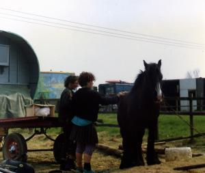 ixy,celia,barnstone