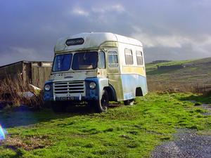 byd47b,austin,ld