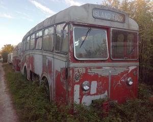 12725,albion,ns31n,reading